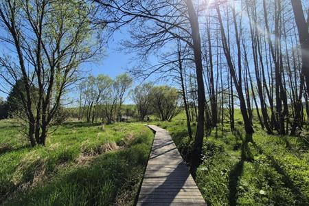 Vlonderpad in het natuurreservaat Orti