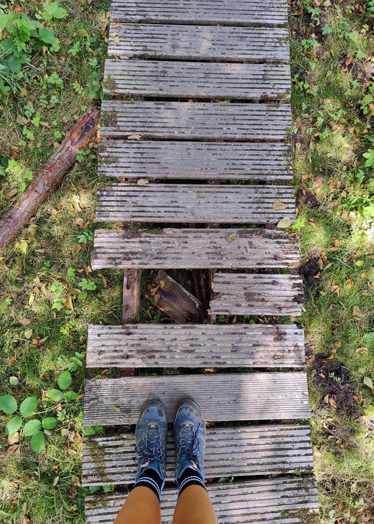 Vlonderpaden van de Wellemeersen