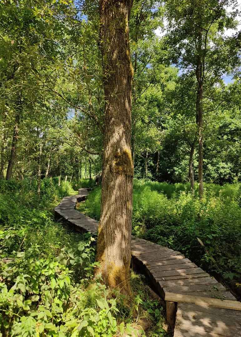 Vlonderpaden van de Wellemeersen