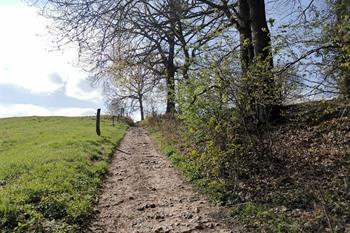 Voeren Bronnenwandeling