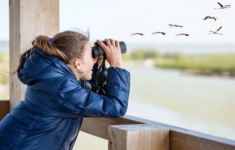 Vogels spotten vanop afstand met een verrekijker