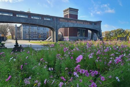 Voormalige kolenmijn van Waterschei in Genk