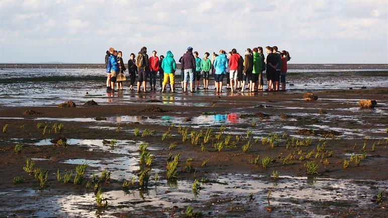 Wadlopen op Texel