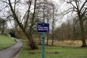 Wandel door het Woluwepark, Sint-Pieters-Woluwe