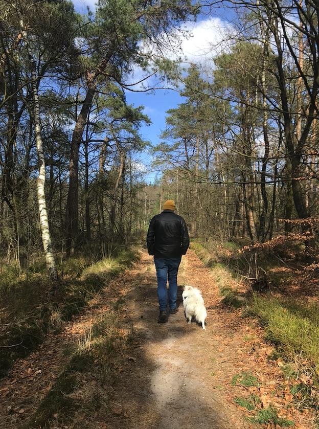 Wandelen in Austerlitz, Utrechtse Heuvelrug