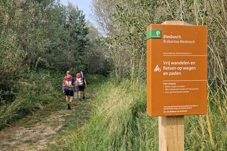 Wandelen in de Biesbosch nationaal park