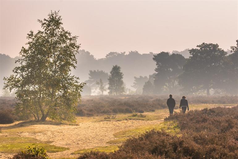 Wandelen in de Hoge Veluwe, Gelderland