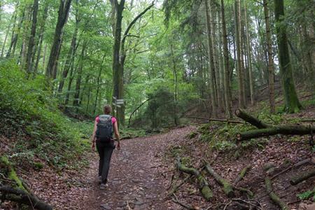 Wandelen in de Mullerthal in Luxemburg