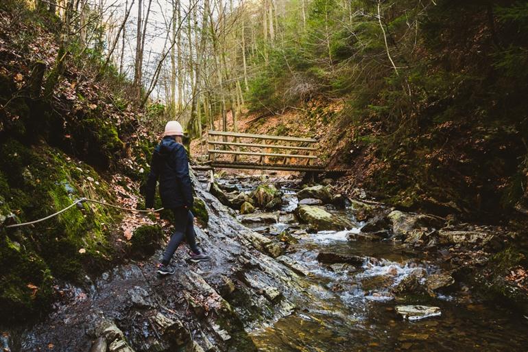 Wandelen in de Ninglinspo-vallei