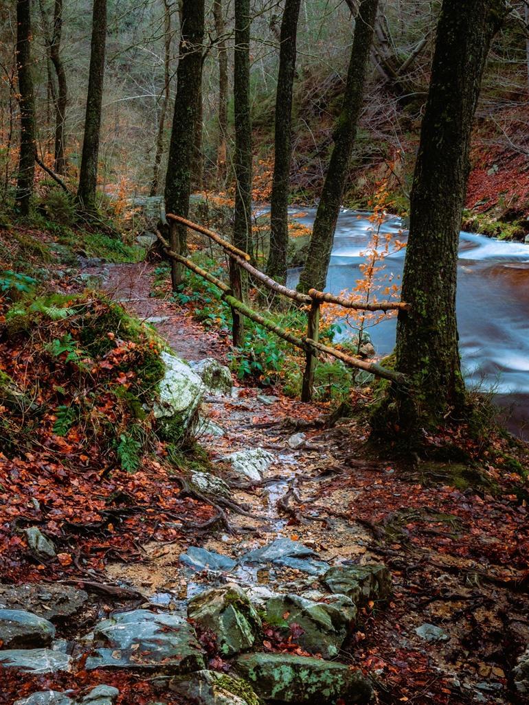 Wandelen in de Vallei van de Hoëgne, Malmedy
