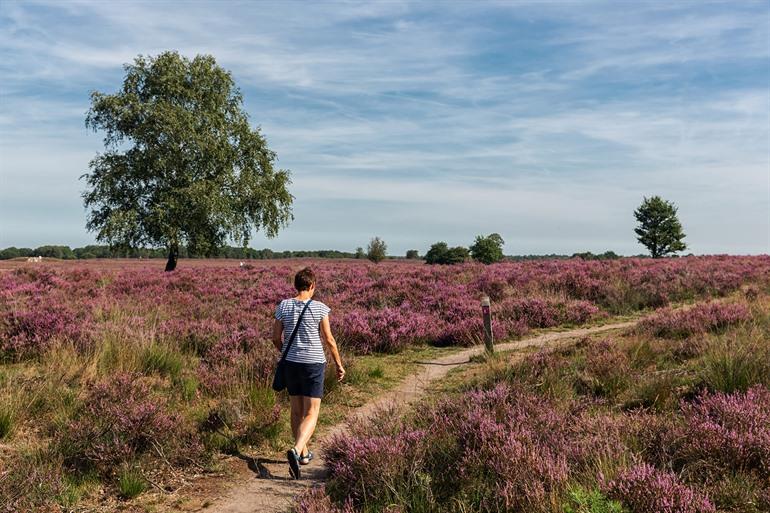 Wandelen in de Veluwe, Gelderland