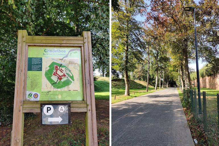 Wandelen in het citadelbos, Diest