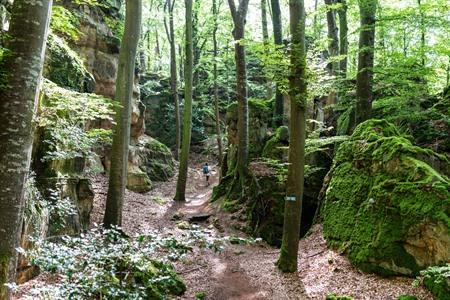 Wandelen in het Müllerthal (Klein Zwiterserland)