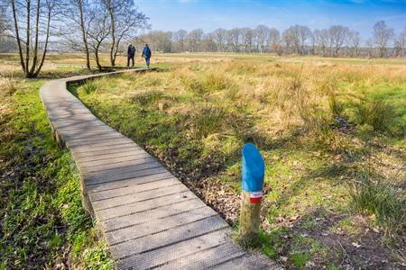 Wandelen langs het Pieterpad in Nederland
