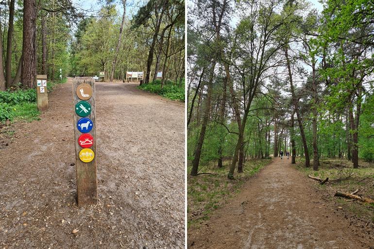 Wandelen op de Kalmthoutse Heide