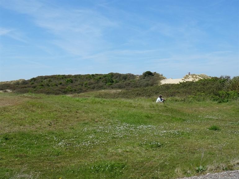 Wandelen over de Zwinvlakte, Knokke-Heist