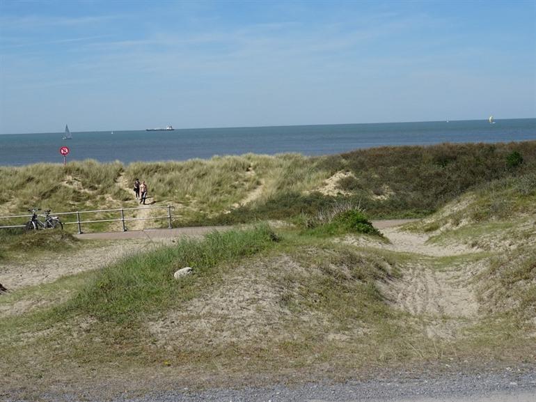 Wandelen over de Zwinvlakte, Knokke-Heist