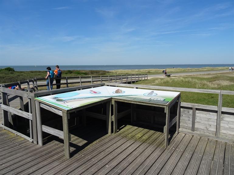 Wandelen over de Zwinvlakte, Knokke-Heist