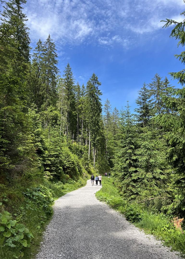 Wandelen rond de Eibsee