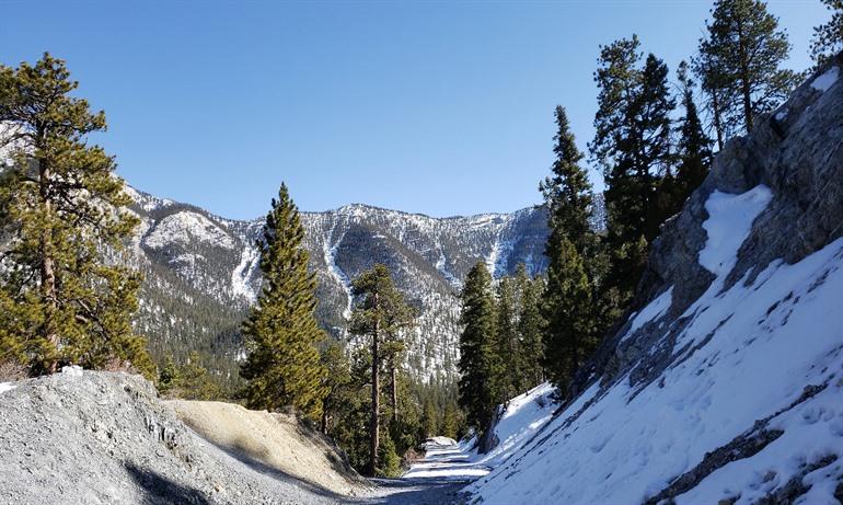 Wandelen tussen de sneeuw op Charleston Peak