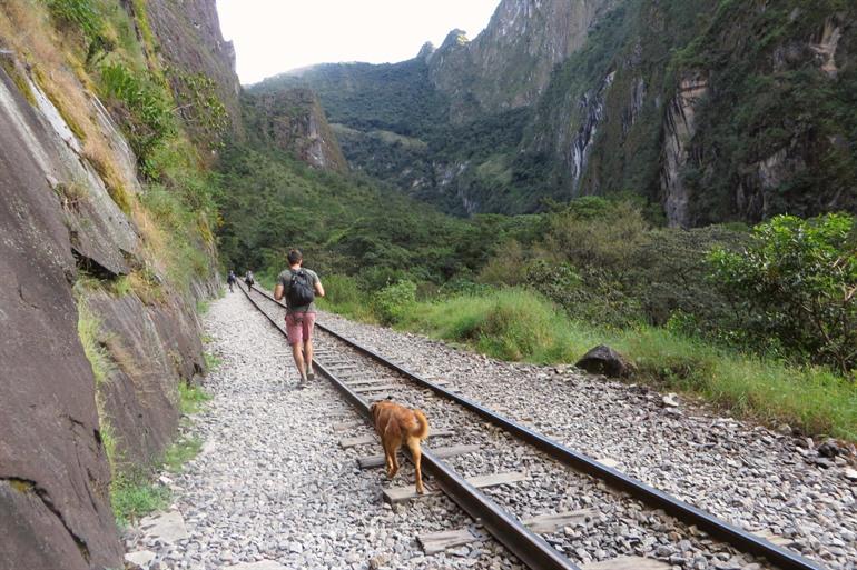 Wandelen via het treinspoor