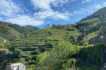 Wandeling Cinque Terre: Monterosso naar Vernazza (Sentiero azzurro)