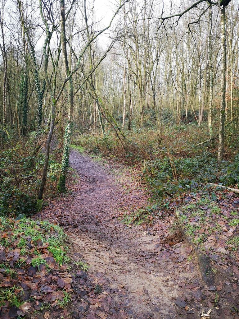 Wandeling door De Nuchten