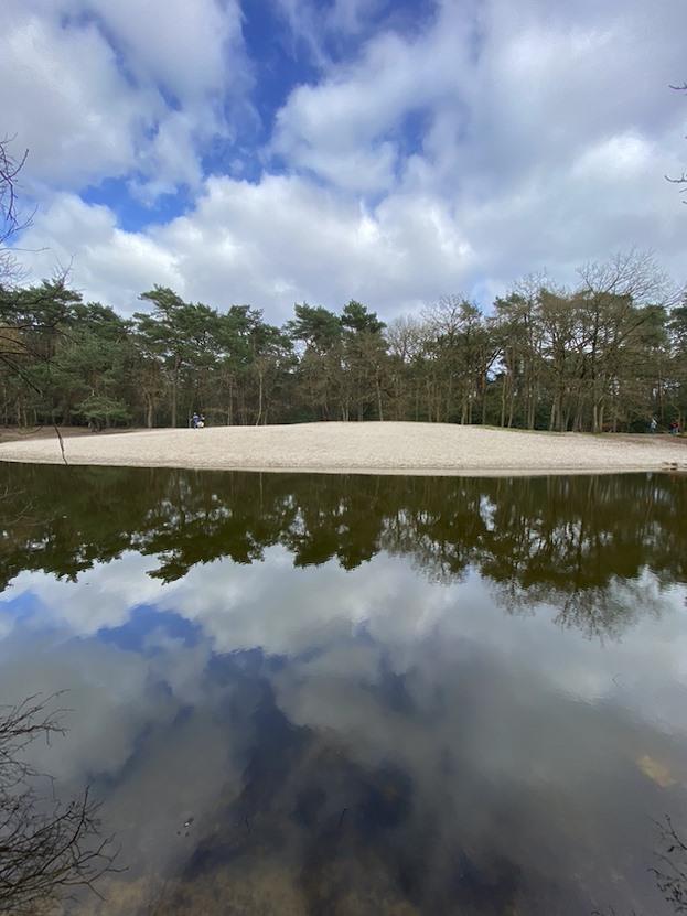 Wandeling Heuvelrug Route Lage Vuursche