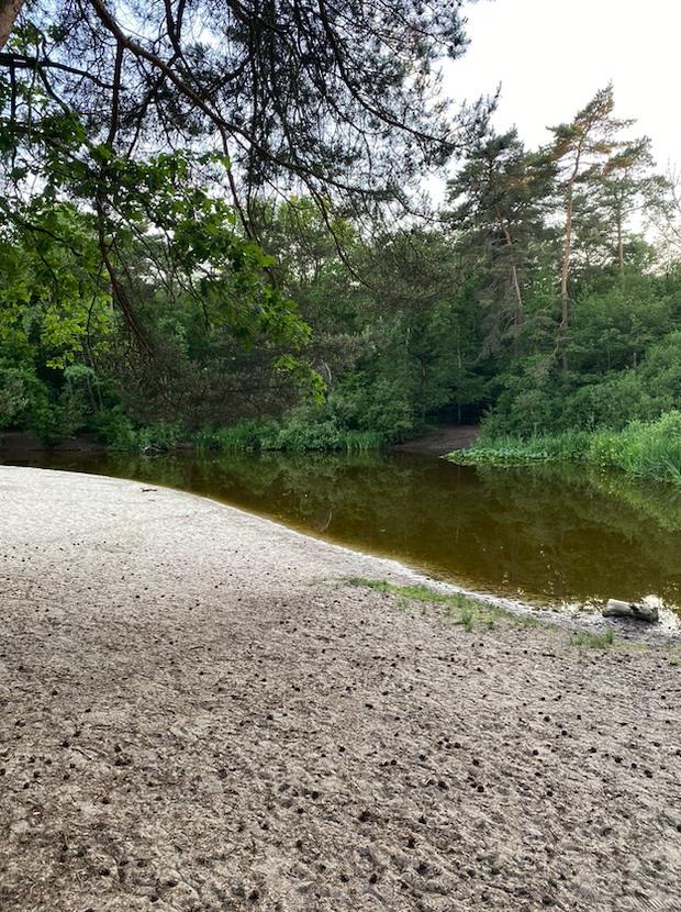 Wandeling Heuvelrug Route Lage Vuursche