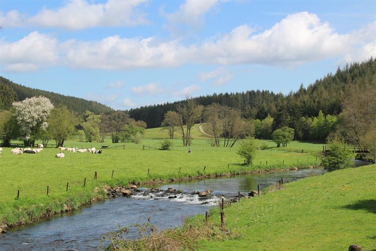 Wandeling in de Oostkantons (Bellevaux)