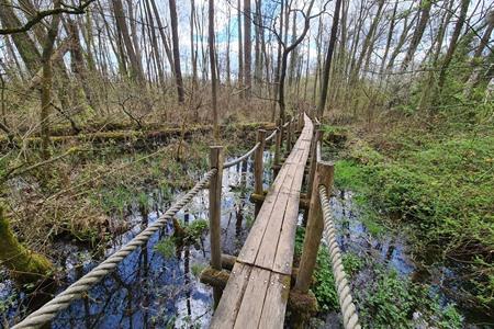 Wandeling in Vallei van de Serskampse beek over Vlonderpaden 