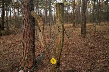 Wandeling langs het Pagadderpad in Dessel