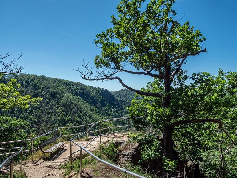 Wandeling naar de Hexentanzplatz in de Harz