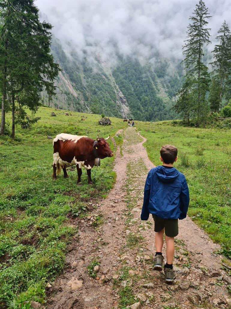 Wandeling naar de Röthbach waterval