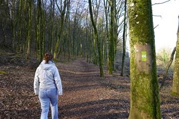 Wandeling Prënzebierg - Le Pays des Terres Rouges