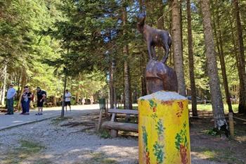 Wandeling rond Black Lake in Durmitor Nationaal Park