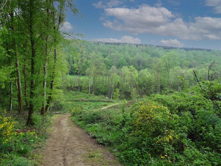 Wandeling rond de abdij van Orval