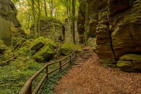 Wandeling van Echternach naar Berdorf (Mullerthal Trail)