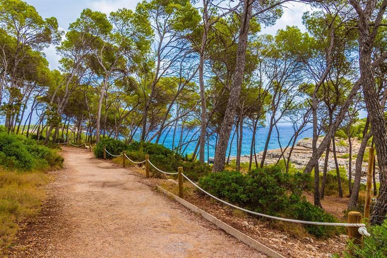 Wandelpad in het bos van Parc natural de Mondragó, Mallorca
