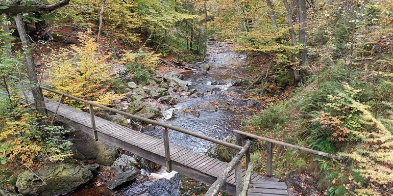 Wandelroute Hoëgne (Jalhay)