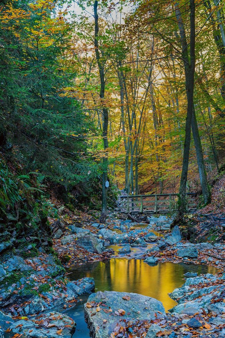 Wandelroute Ninglinspo, enige bergrivier in België