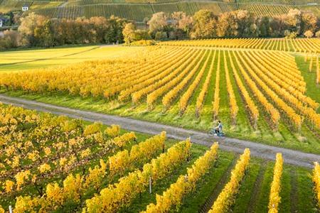 Wat is slow travel? Alles over traag en bewust reizen