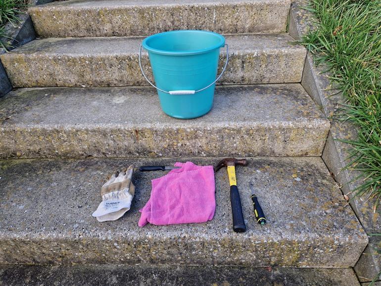 Wat meenemen als je oesters gaat plukken?