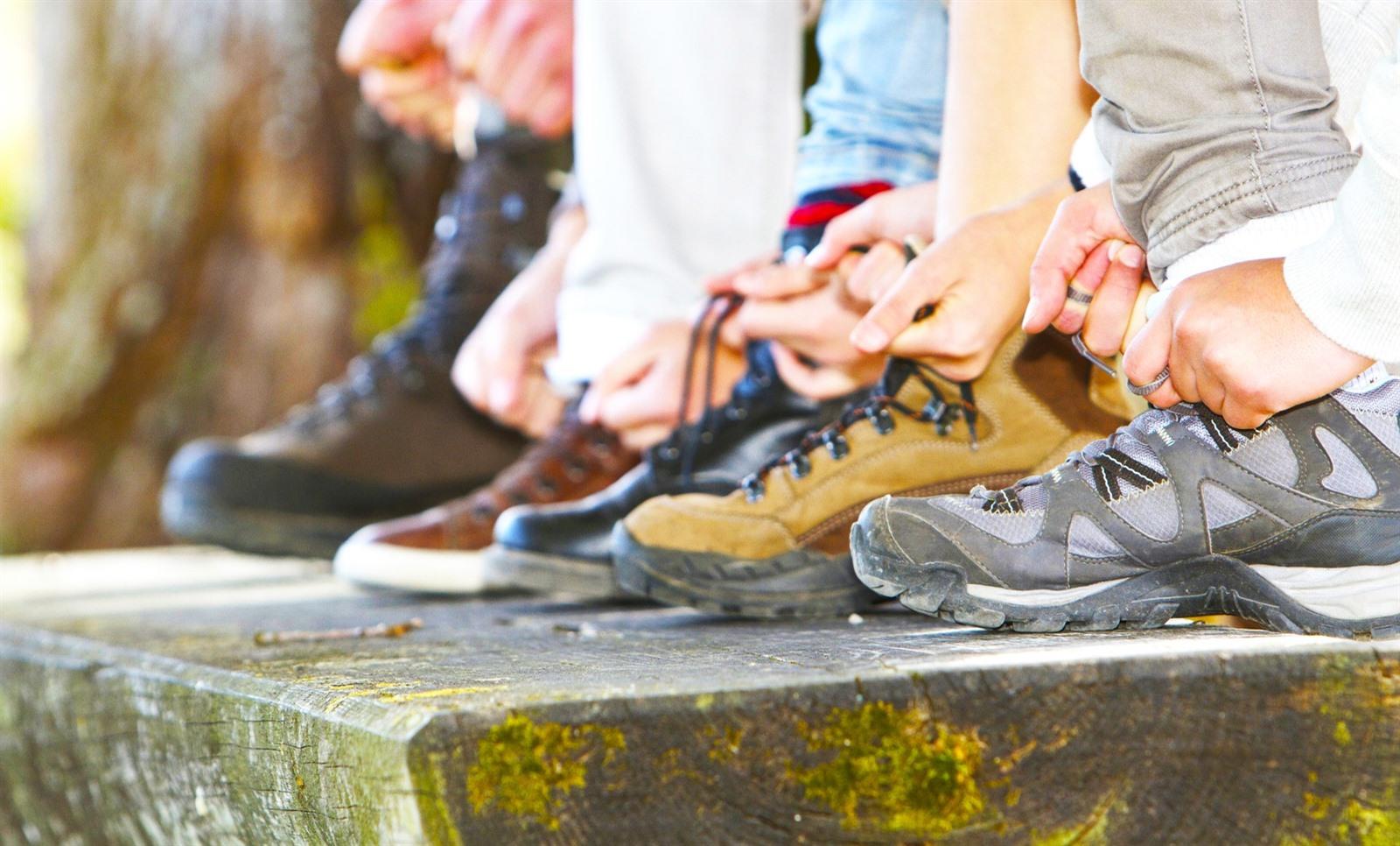 Afgekeurd Toevlucht Afkeer 15x beste wandelschoenen 2023 + wat is dé ideale wandelschoen?