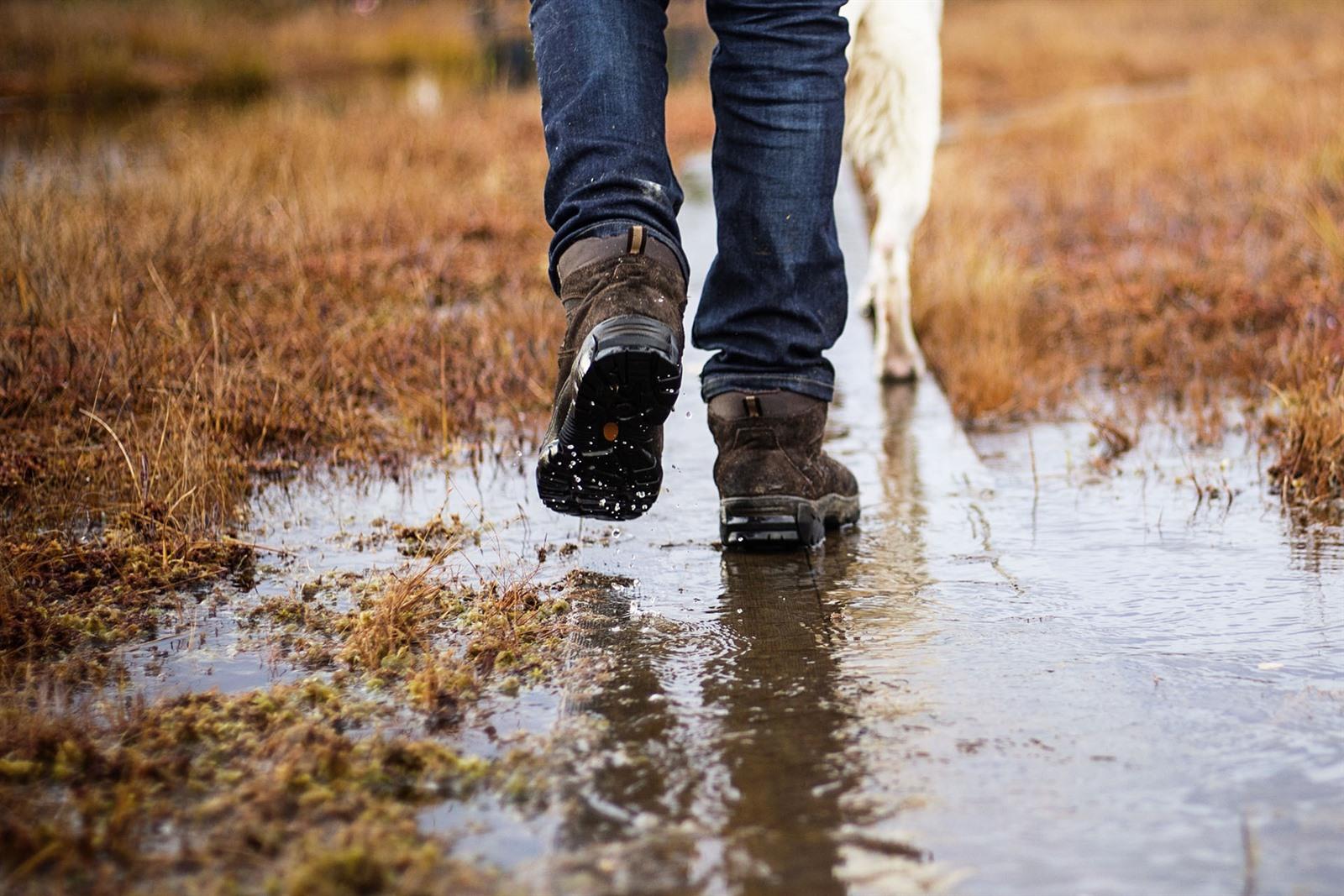 Opwekking inkt vertegenwoordiger 15x beste wandelschoenen 2023 + wat is dé ideale wandelschoen?