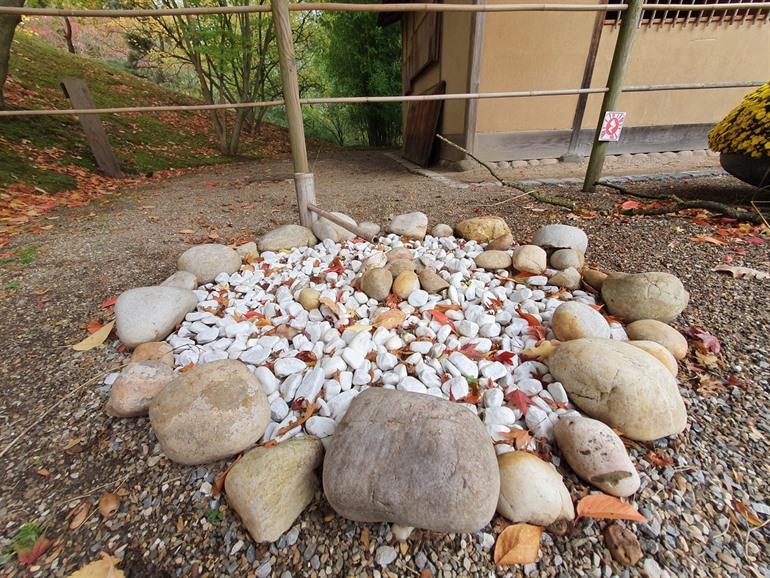 Waterharp in de Japanse Tuin