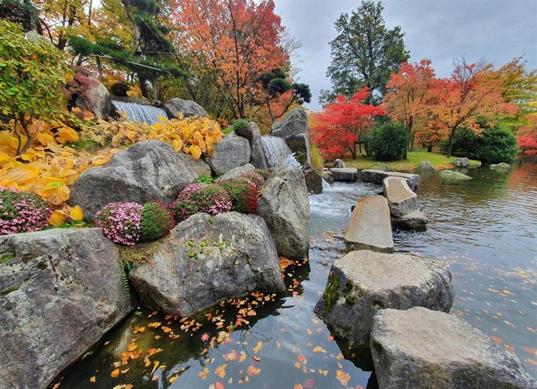 Waterval in de Japanse Tuin
