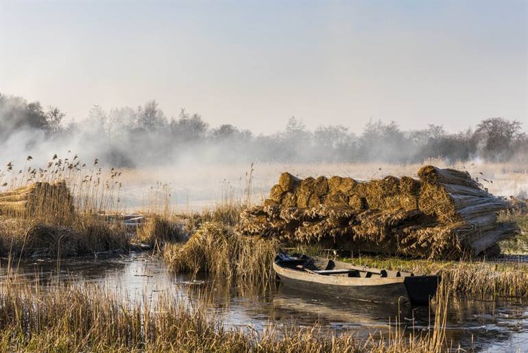 Weerriben-Wieden Rietvelden