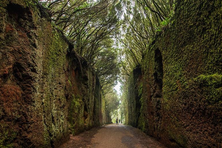 Weg naar Pico del Inglés, Tenerife