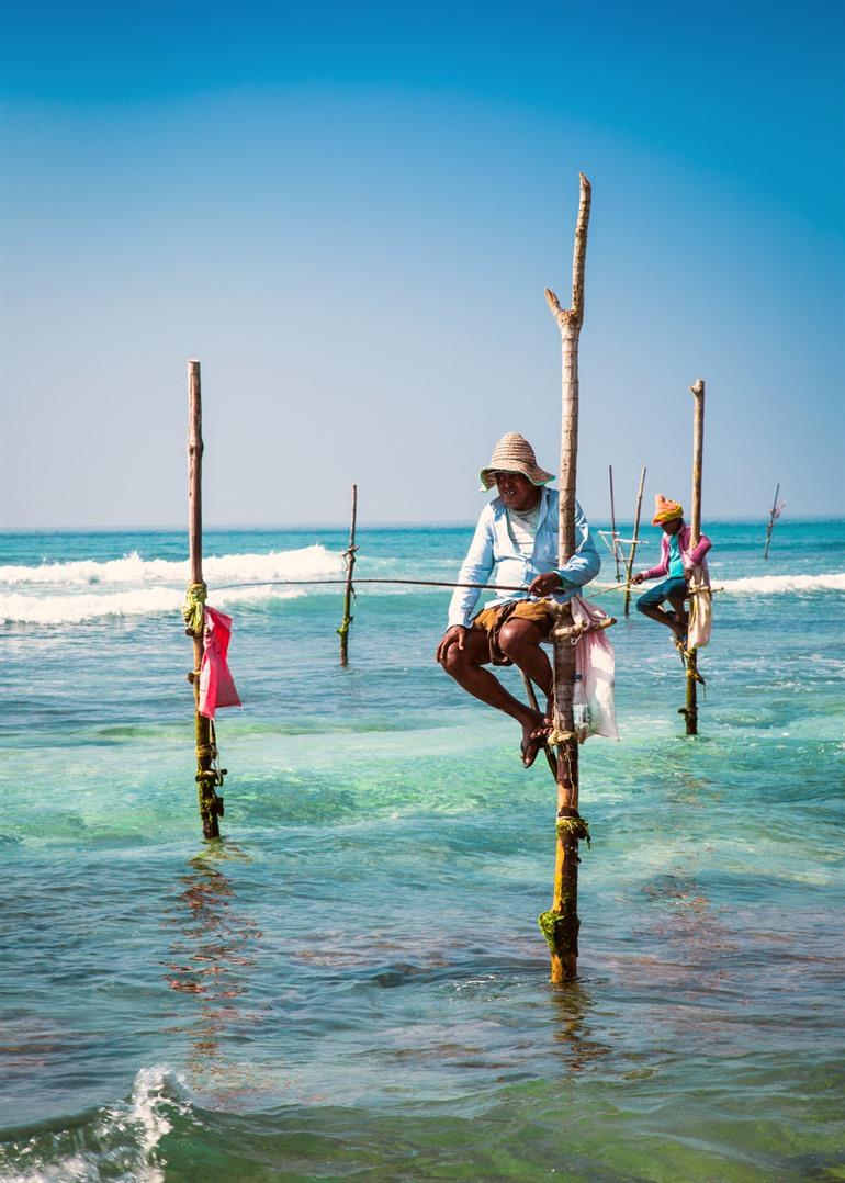 Weligama steltvissers